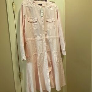 Jcrew pink pinstripe dress.